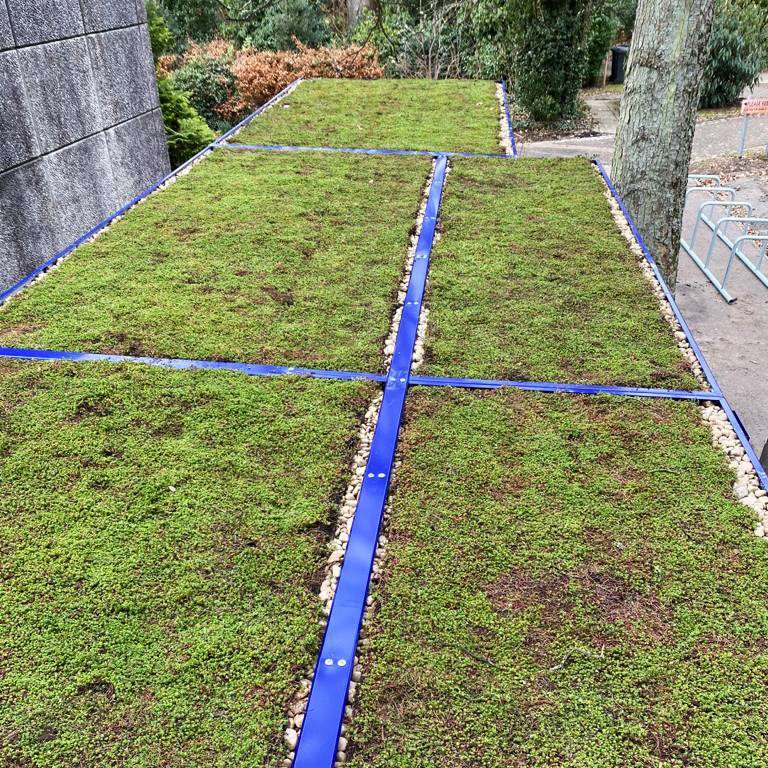 cycle hub green sedum roof