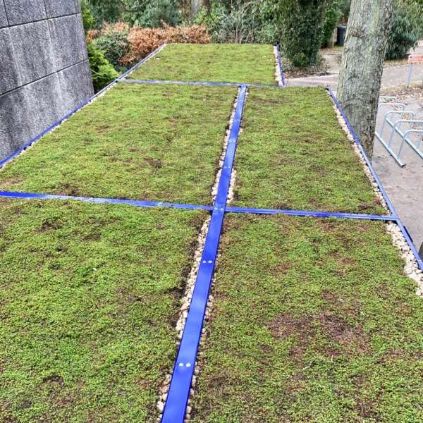 Shelters, Canopies, Walkways and Bin Stores | Bin Stores | FalcoLok-500 Bin Store | image #16 |  Bin Store with Green Sedum Roof