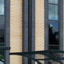 FalcoGamma Double Sided Canopy