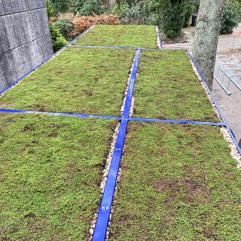 Bin Store with Green Sedum Roof