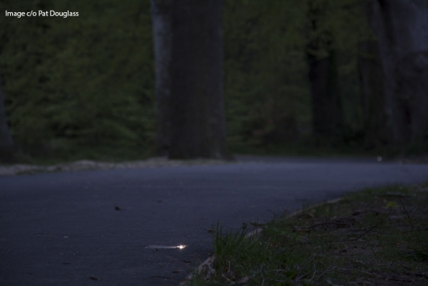 Solar Powered FalcoPathfinder LED Demarcation Lights for River Lossie Cycle Path in Elgin!