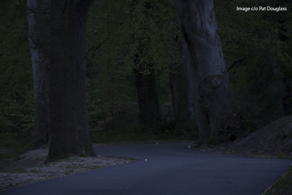 Solar Powered FalcoPathfinder LED Demarcation Lights for River Lossie Cycle Path in Elgin!