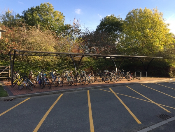 Falco is Top of the Class at the University of Cambridge