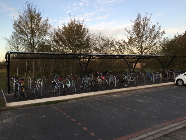 Falco is Top of the Class at the University of Cambridge